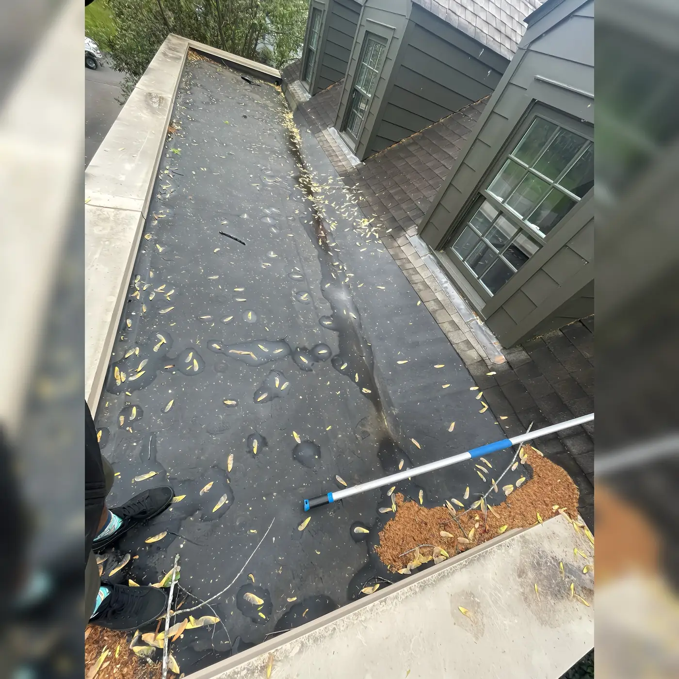 Light Leaf Debris on Roof Before Cleaning (before)