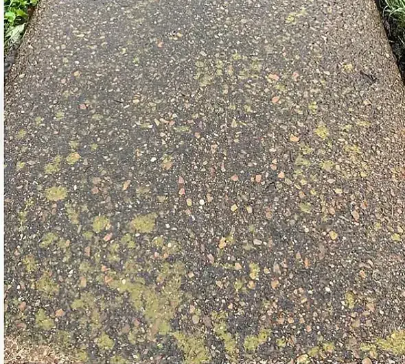 Walkway before pressure washing
